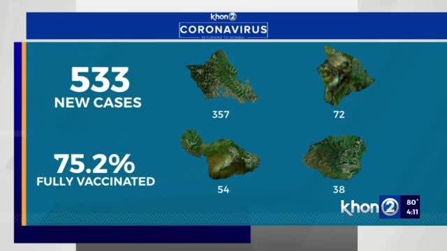 Hawaii reports 533 COVID cases