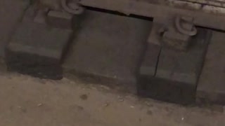 Rat eating pizza on subway rails