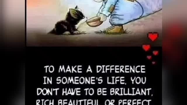 FUNNY VIDEOS COLLECTION. FUNNY VIRAL VIDEOS COMPILATION. JUST GOOD VIBES. LM17-P2❤️😁😁
