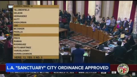 Los Angeles city council has voted to make Los Angeles a sanctuary city for illegal aliens