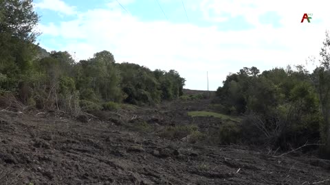 Инспекционная поездка Аслан Бжания