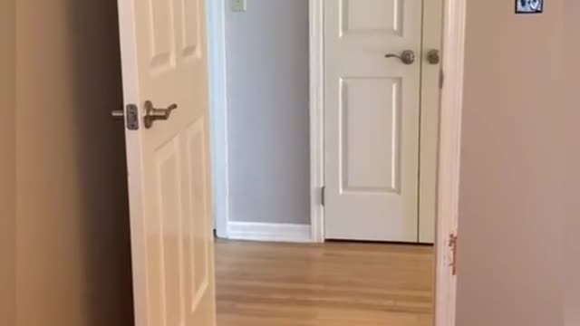 let’s be real, Bean’s up to something sketchy
