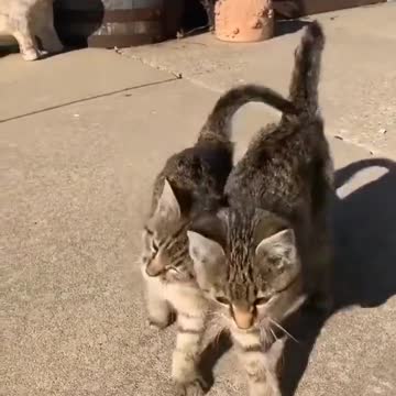 together till death do us part