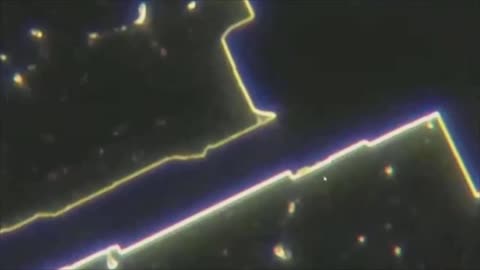 New Zealand doctor found alarming materials in Pfizer Covid and flu vaccine vials