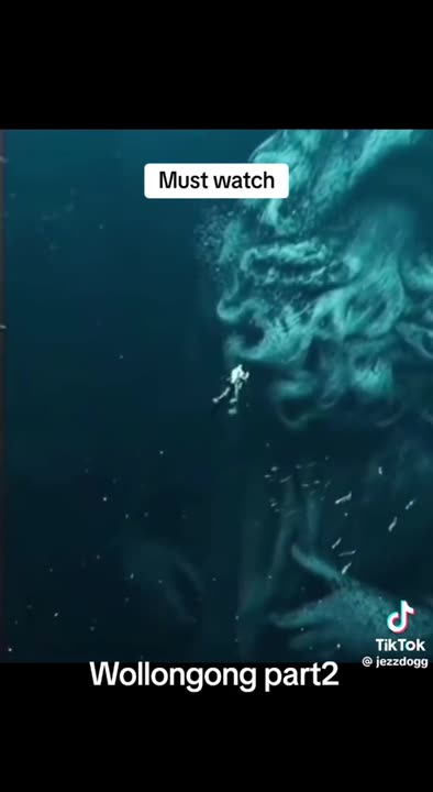 Wollongong RARE FOOTAGE - Reloaded from Renard