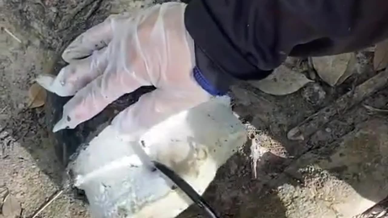 rubber from tree milk