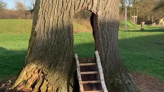 Tree house play