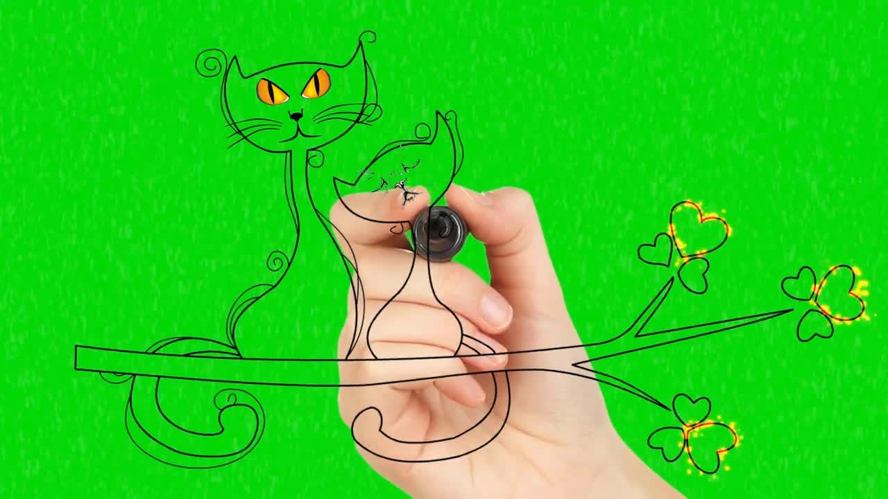 cat drawing