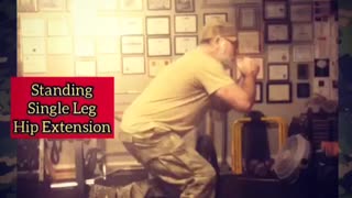 Standing, single leg, supported hip extension