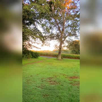 Good Morning To Ya !