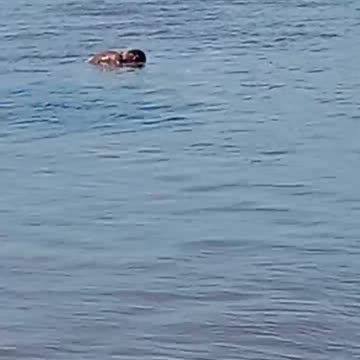 Cuerpo en el Canal del Dique