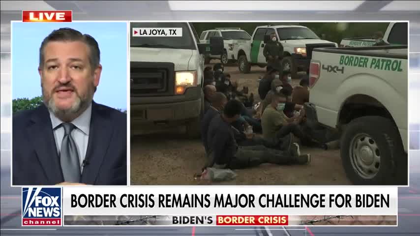 Ted Cruz: Biden and Harris have no solution for the border crisis.