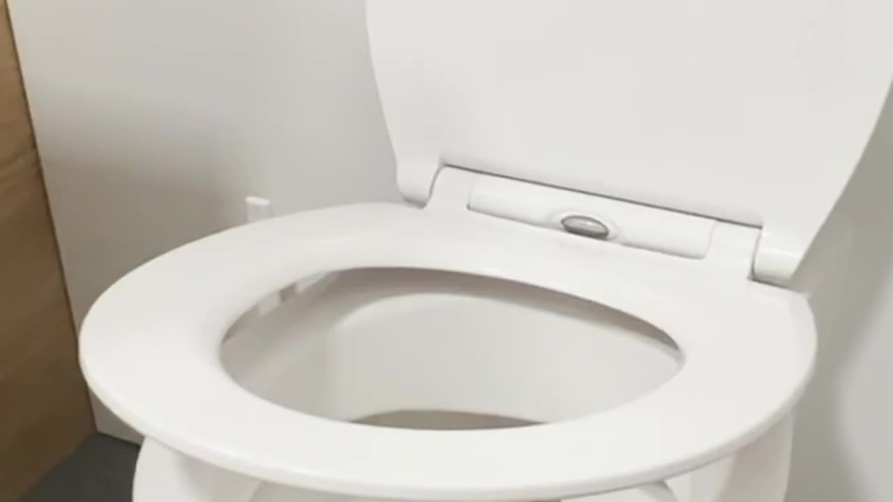 Don't Use It If You See A Paper Roll Under Toilet Seat