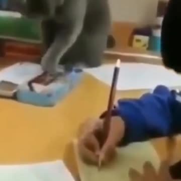 kittens and puppies sketchers