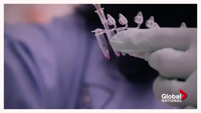 COVID-19 New COBREVAX vaccine could help immunize low-income countries