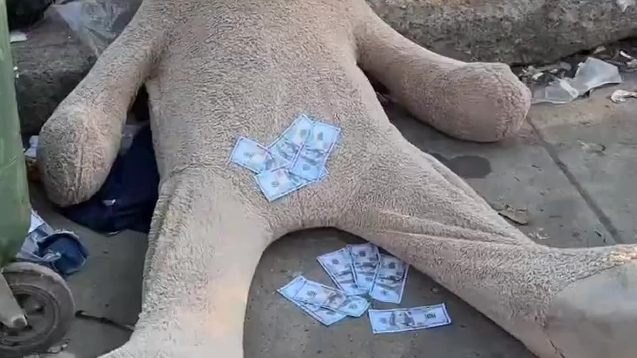 El oso 🐻 millonario 💰 part2 #viral #tendencias