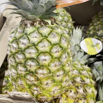 Great pineapple fruio