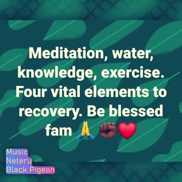 3 Quotes to Positively Impact Your Day