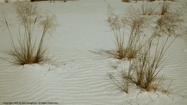 White Sands National Monument - White Sand Patch with Grass Blowing in Wind #9 (Building in Margin)