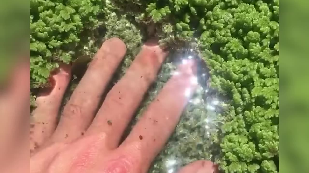 That's Oddly Satisfying!