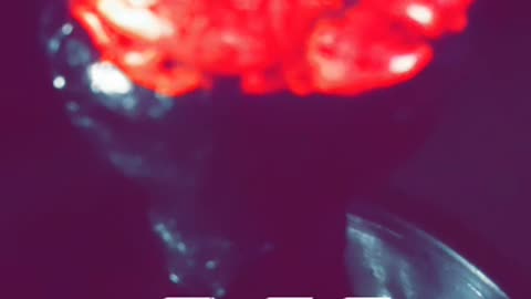 مساء الفل