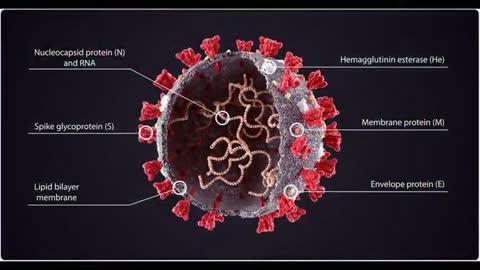 How The Jab of The Beast Destroys The Name of God That's Transcribed Upon Your DNA