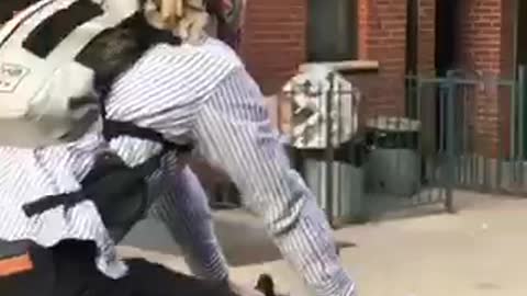 Dog bicycling in backpack with tiny sunglasses