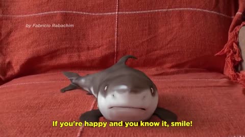 Cutest Baby Shark Happy Shark Funny Shark Cute Baby Reactions 2021