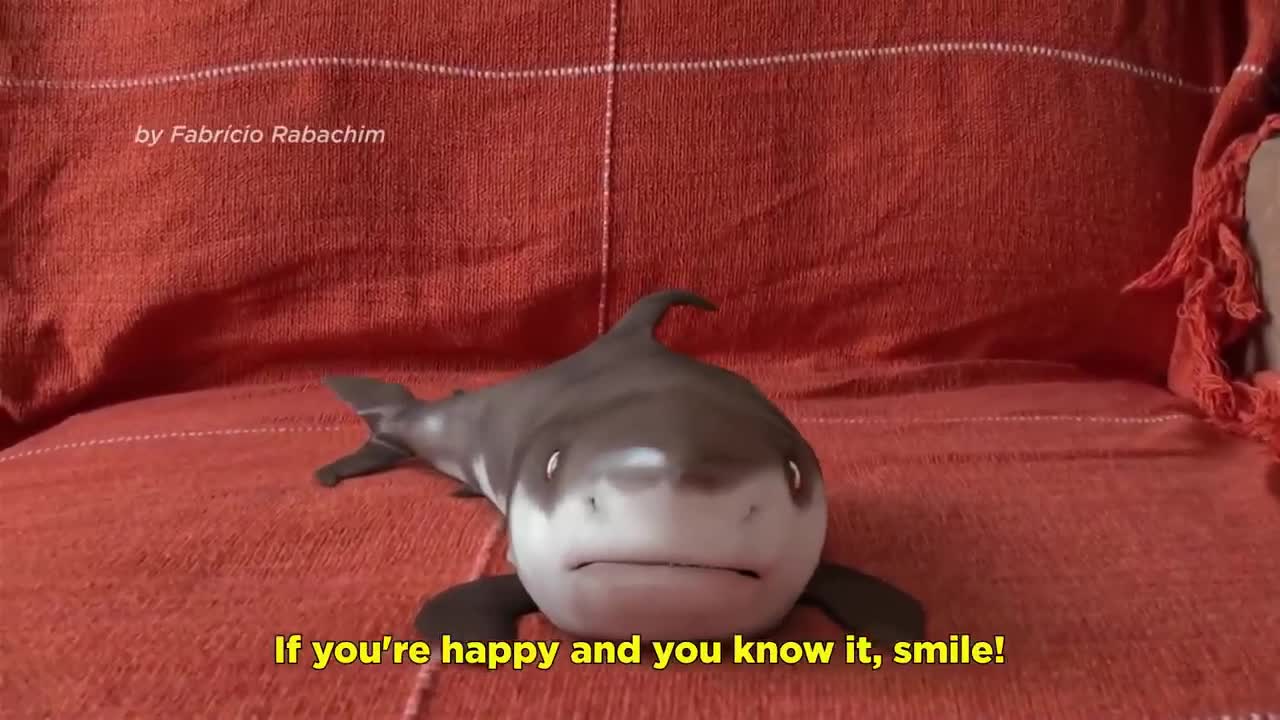 Cutest Baby Shark Happy Shark Funny Shark Cute Baby Reactions 2021