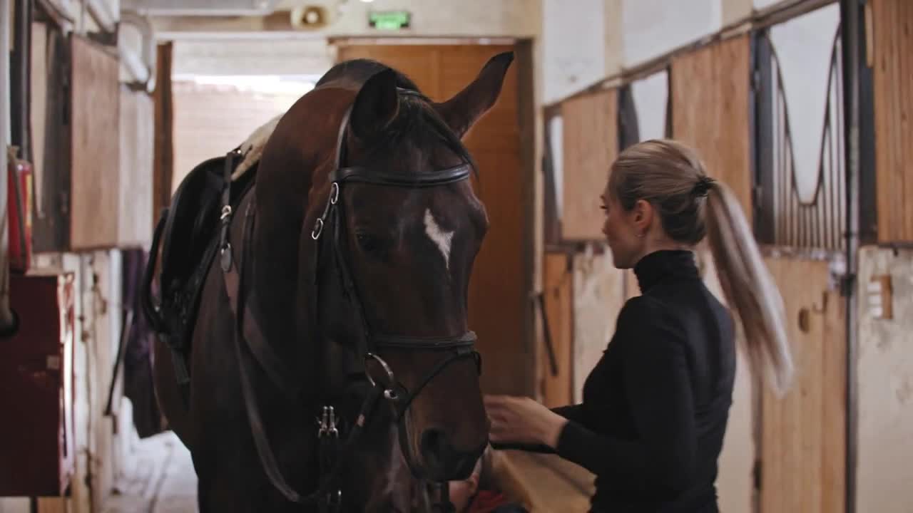 A woman putting on a harness and preparing the horse for a ride