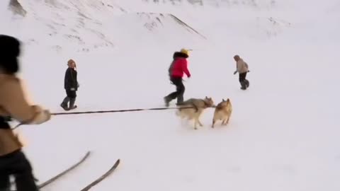Norwegian kids train for Arctic adventure