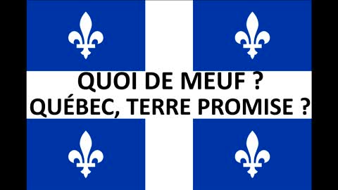 Quoi de Meuf ? Québec, terre promise des féministes.