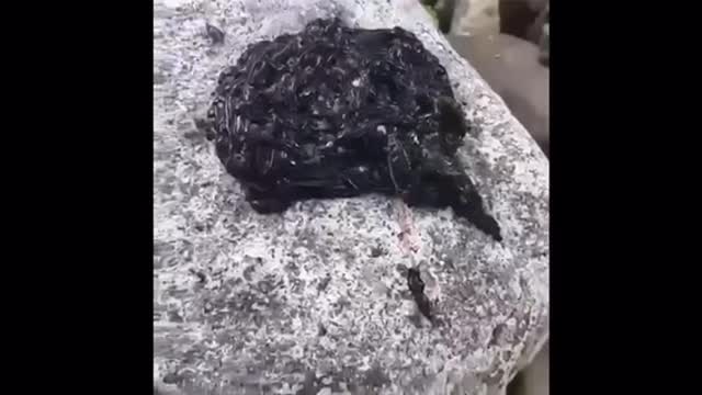 CREEPY! Is Black Goo a REAL Phenomenon?