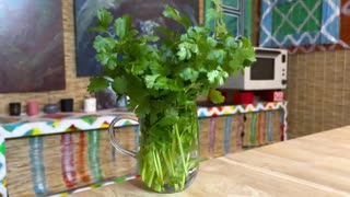 Tricks to Make Herbs Fresh Again & Cooking Tips How to Make Herbs Last Longer