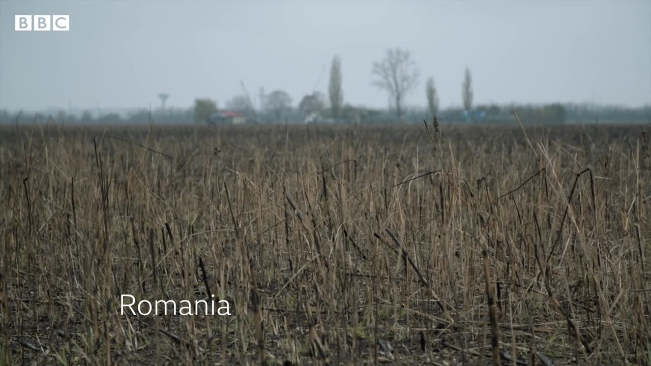 The children groomed in Romania for the UK sex trade- BBC News