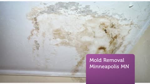 Call Us Today For Mold Removal Minneapolis MN - We'll Save Your Home From Mold