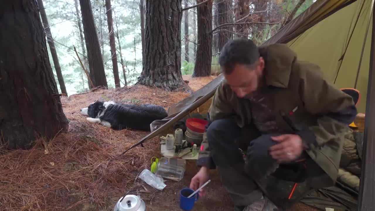 Camping in Rain With Dogs