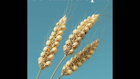 Capa The economist