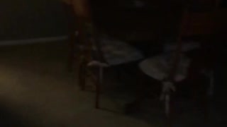 Brown dog running around living room with towel on its mouth