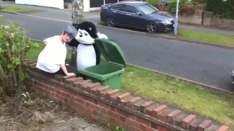 revenge of cat