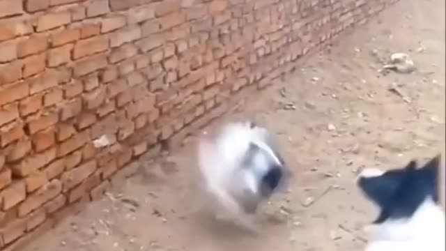 Unsuccessful attack