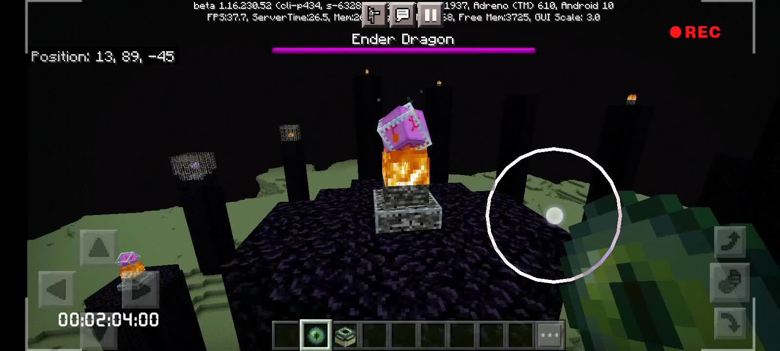 DRAGON IN MINECRAFT