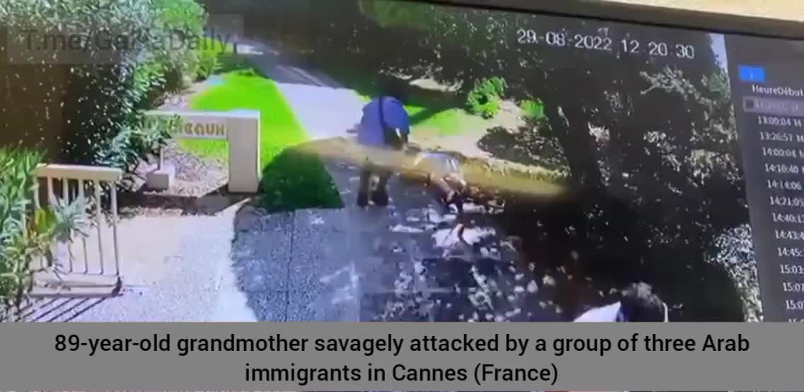France: 3 Arab immigrants violently attacked and robbed an 89 year old grandmother