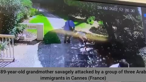 France: 3 Arab immigrants violently attacked and robbed an 89 year old grandmother