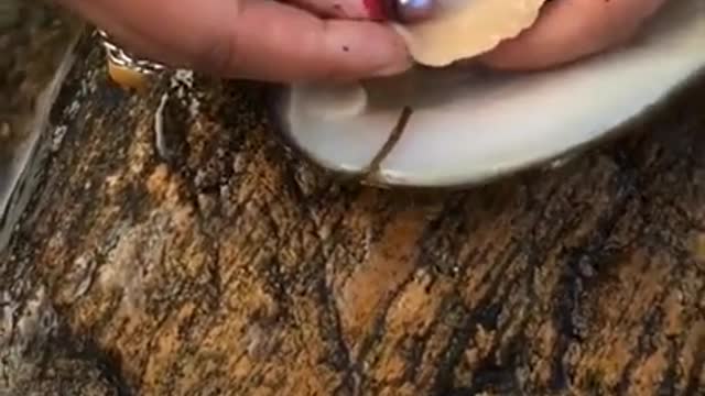 SatisFying Mix#SatisFying Oddly#SatisFying Video