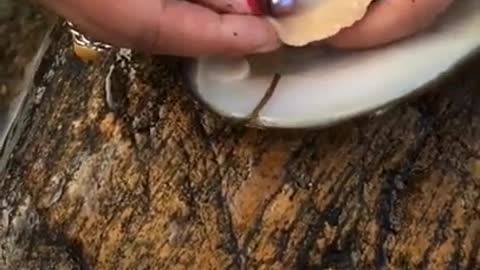 SatisFying Mix#SatisFying Oddly#SatisFying Video