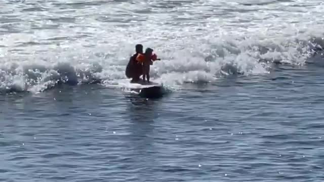 Baby Surfing