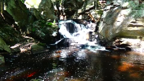 Cascade