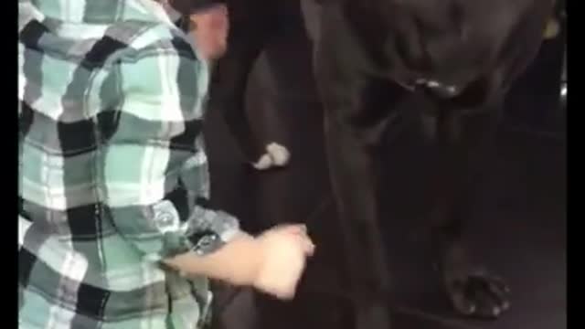 Adorable Babies Love Dog Compilation π πΆπΆ #1 #shorts
