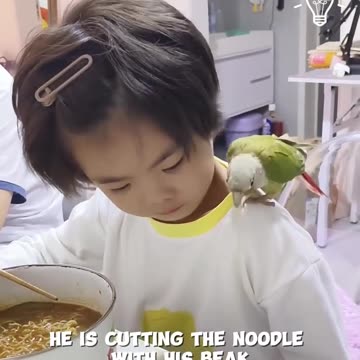 Looks like someone wants to join in on the noodle party!.hd